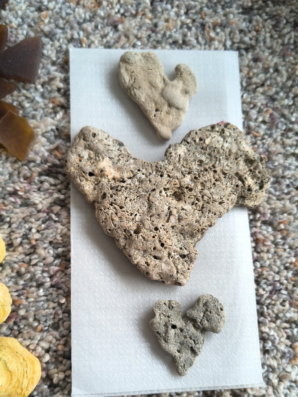 Seaglass & Shell Display - Picture 8 of 9